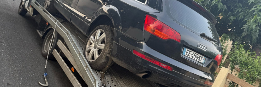 Thomas R. (Thomas Ribeiro)