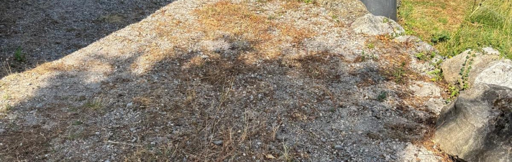 Marilyn J. (proxitache services)