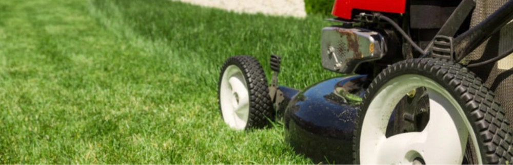 Neza T. (NEZA TRAVAUX)