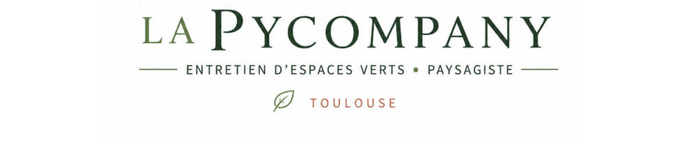 Cyprien D. (Pycompany)