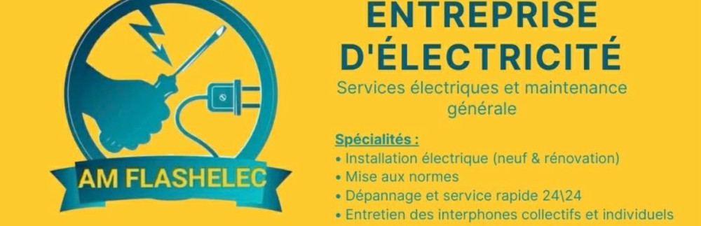 AM FLASHELEC