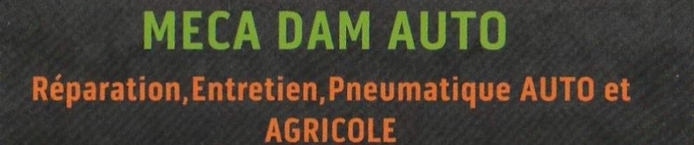 Damien R. (MECA DAM AUTO)