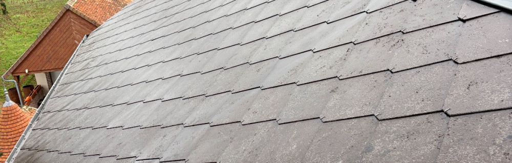 LE COMAPGNON DU TOIT