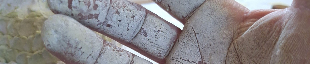 Remy C. (cuvelier remy)