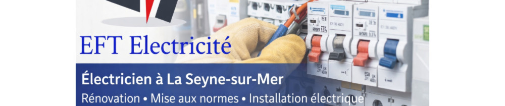 Raphaël P. (EFT elctricité)