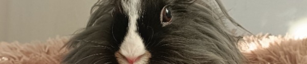 Naïs V.
