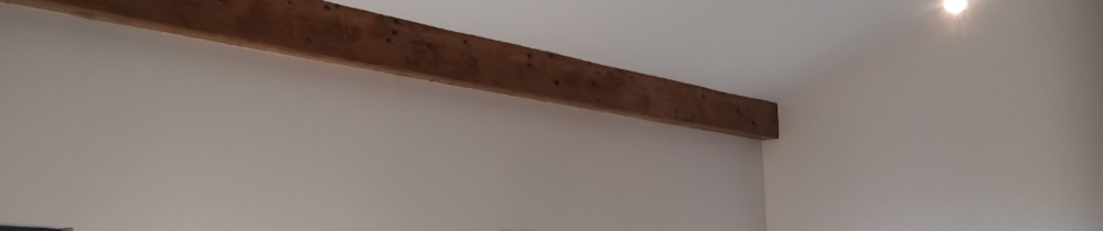 Apolînario Ricardo K. (Absis rénovatio...