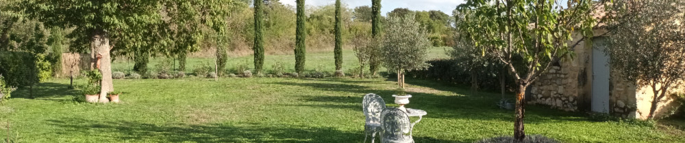 Chris-Yvan C. (LIBERTY GARDEN)