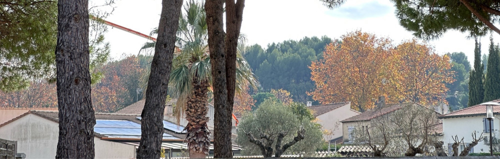 William L. (LITTLE Garden)