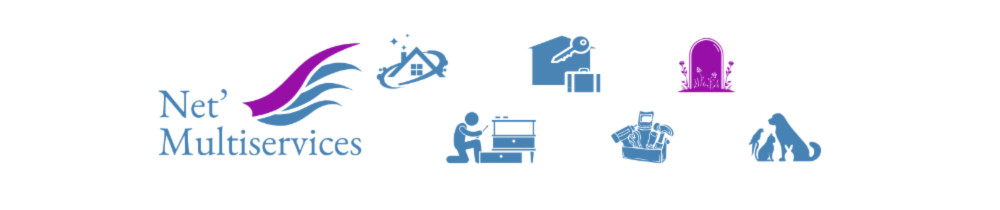 Vladimir P. (Net'Multiservices)