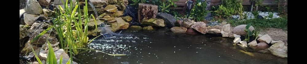 Jenny C. (JCréAddict)