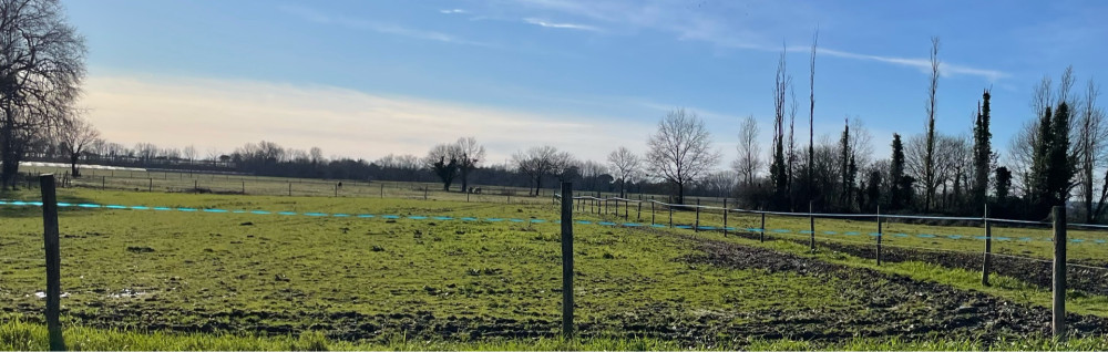 Bernard Antoine C. (431,chemin des ber...