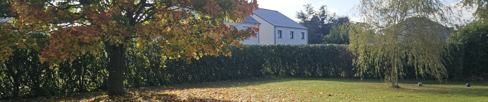 Matthieu B. (Clean.Auto.Bess)