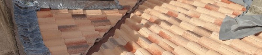 David G. (rénovation bastiaise)