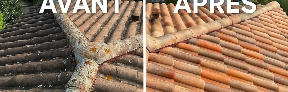 Ludovic V. (Allô Docteur Toiture)