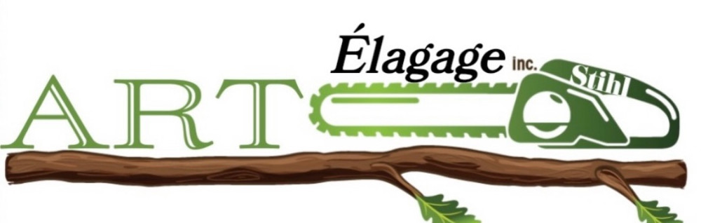 Nevada F. (Art Elagage 31)