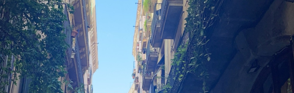 Jonathan B. (brillance verre & jardin)