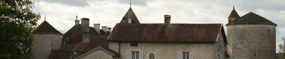 Jean Michel L.