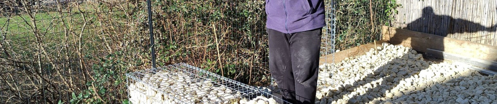 Hakim A. (BRICO-AKO)