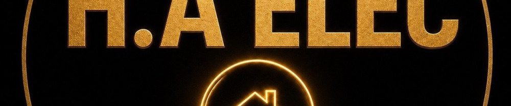 Aurelien D. (H.A ELEC)