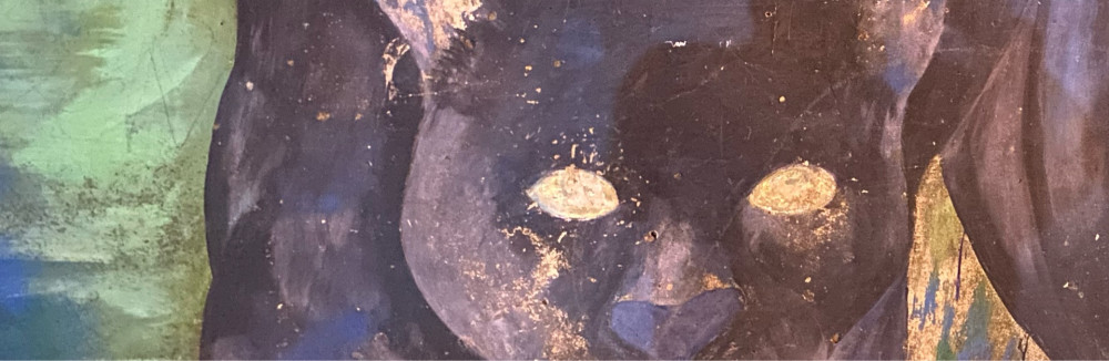 Carlos M. (lagarto caspi agencement)