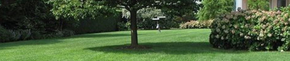 Sébastien W. (WS élagage)