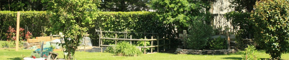 Denis B. (db multiservices)