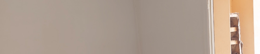 Antoine L. (PEINTURE RENOV11)