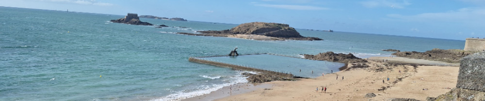 Victor D. (DicaRenov)