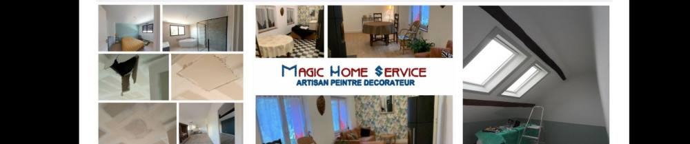 Remy S. (Magic Home Service)