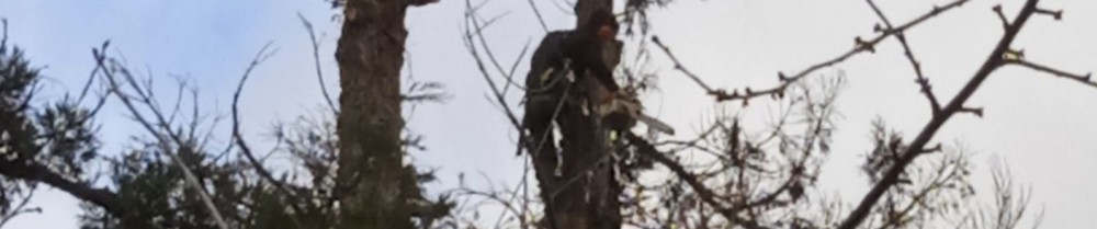 Michelet B. (michelet père et fils)