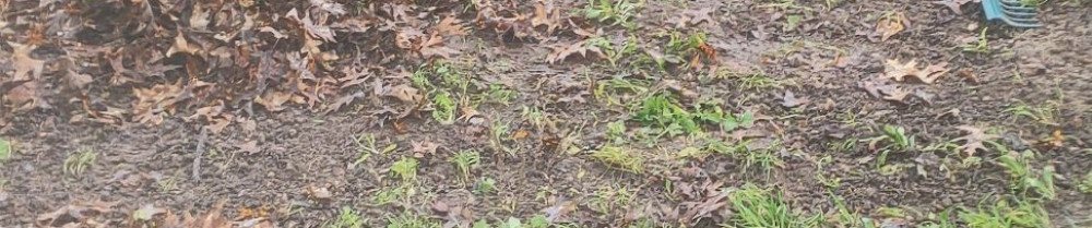 Ettien E. (EKJ NETTOYAGE)