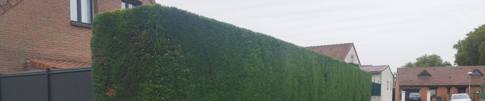 Benjamin L. (Lefebvre benjamin)