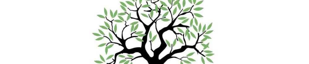 Stanislas R. (robin stan jardins)