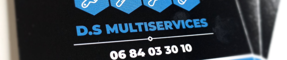 Dimitri S. (D.S MULTISERVICES)