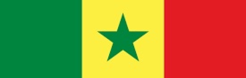 El Hadji N. (diamalaye service)