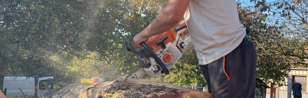 Nolan B. (Nb entretien espace verts)