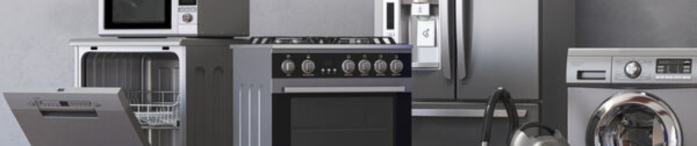 Franck V. (Lyon Elec'Menager)