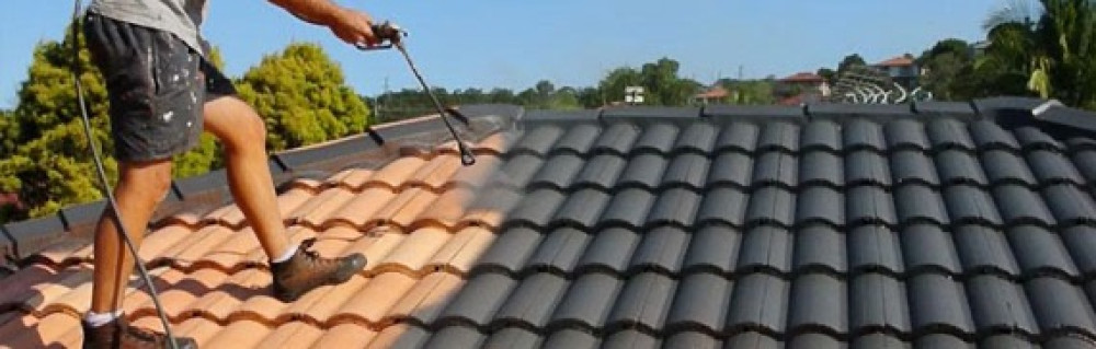 Alexis F. (Ferriol peinture)