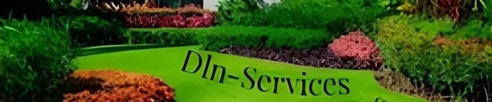 Dylan S. (DlnServices)