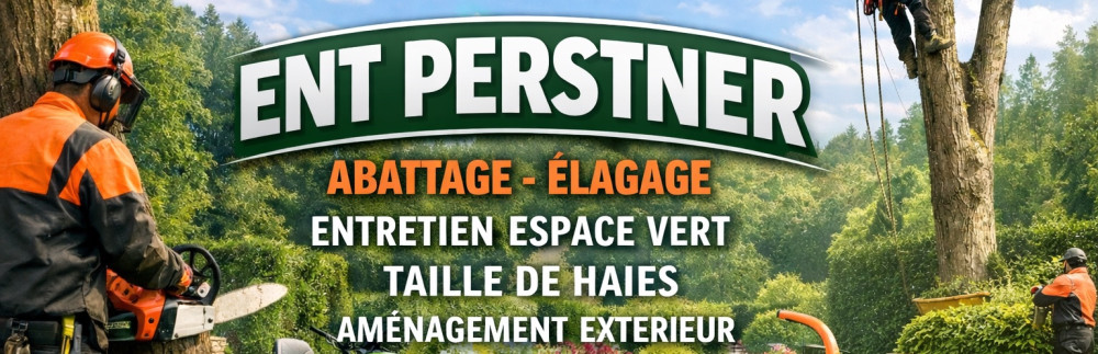 Brandon P. (Ent Perstner)