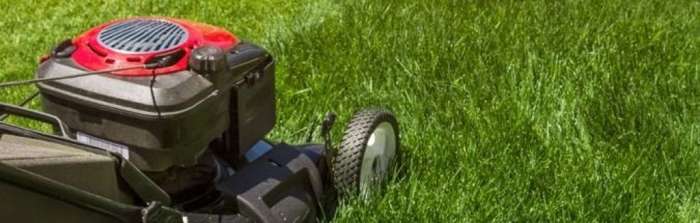 Marvyn G. (Le Jardin D’Eden)