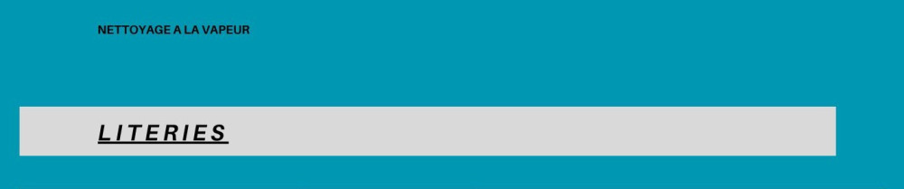 Chantal B. (briewashing89)