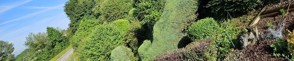 Florian M. (midoux multiservices)