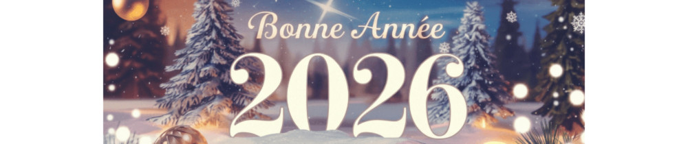 Antoine L. (Antoine travaux pour tous)