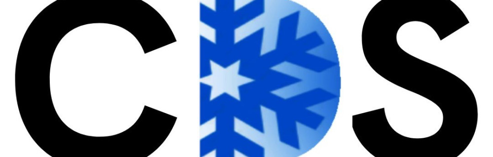 Clément D. (Clément Dumain Services)