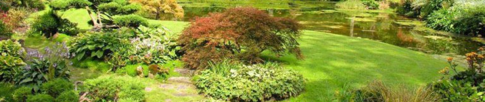 Jacques H. (HUREZ VERT)