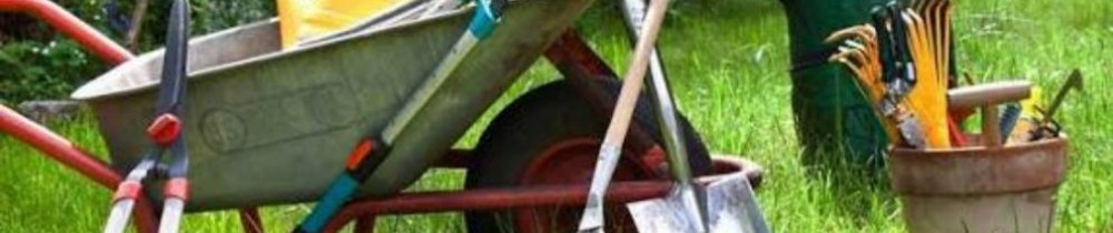 Ahmed Dhiya Eddine B.