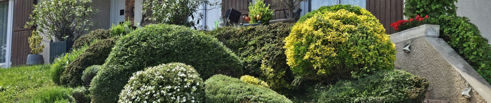 Thomas M. (Multi-services21)