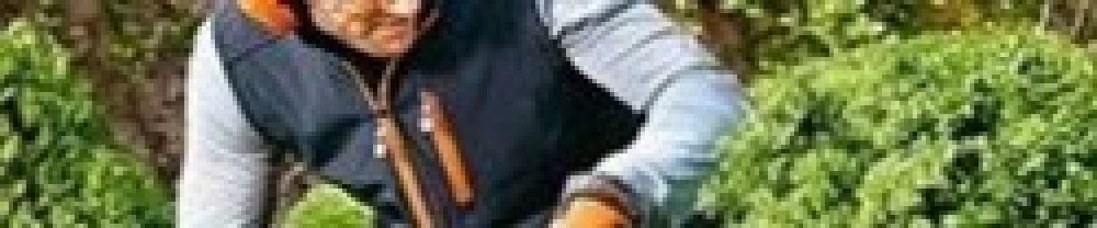 Vincent H. (Hoffmann)